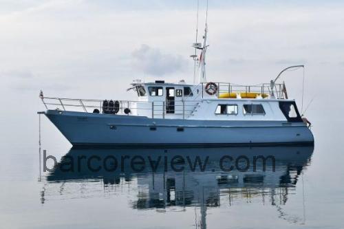 Seahorse 2020 ficha técnica y opiniones